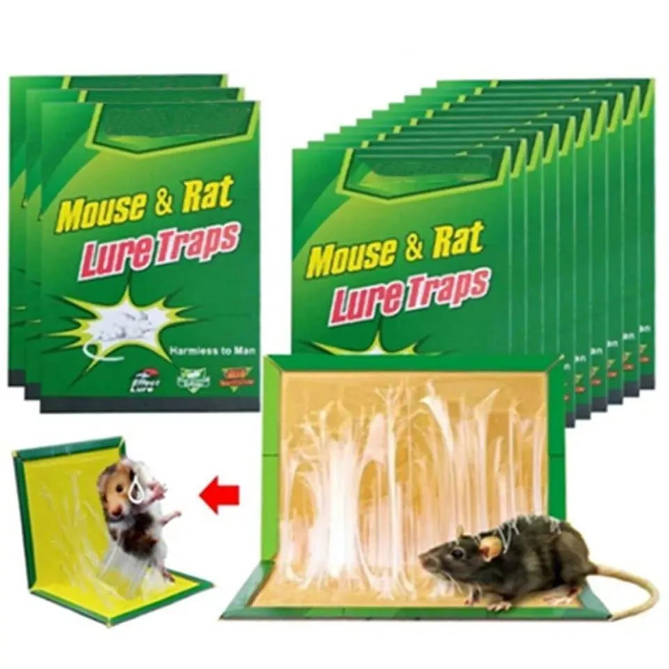 Mouse & Rat Sticky Lure Trap 12.8x8.27" Multicolor
