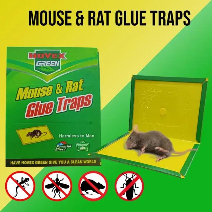 Mouse & Rat Sticky Lure Trap 12.8x8.27" Multicolor
